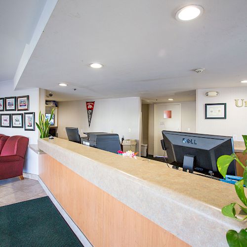 This image shows the reception area of a hotel named University Inn, with a front desk, computers, seating, and indoor plants.