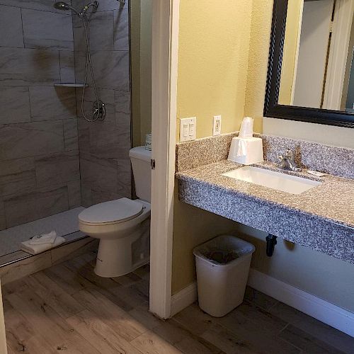 This image shows a bathroom with a shower, toilet, sink with a granite countertop, a mirror, and a trash can. The floor has a wood-like design.