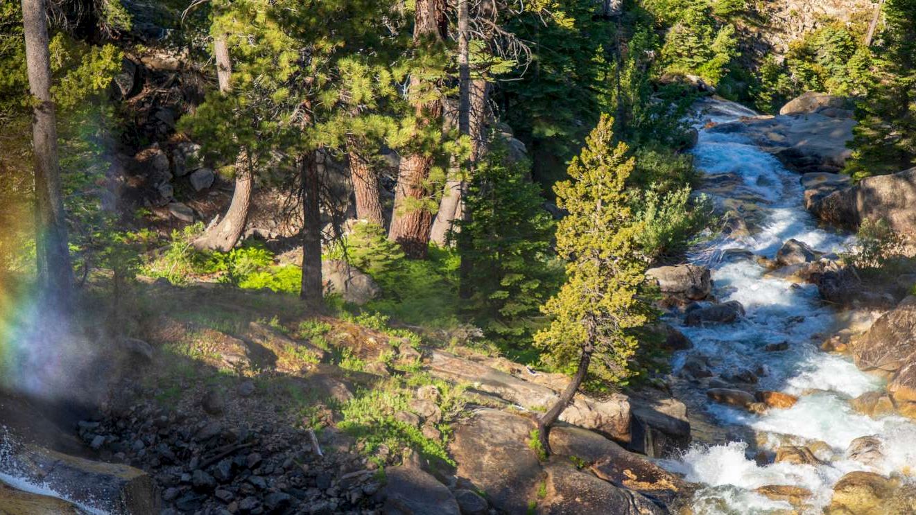 A serene forest scene with a flowing river, rocks, and a rainbow visible near the waterfall, surrounded by tall trees and greenery.